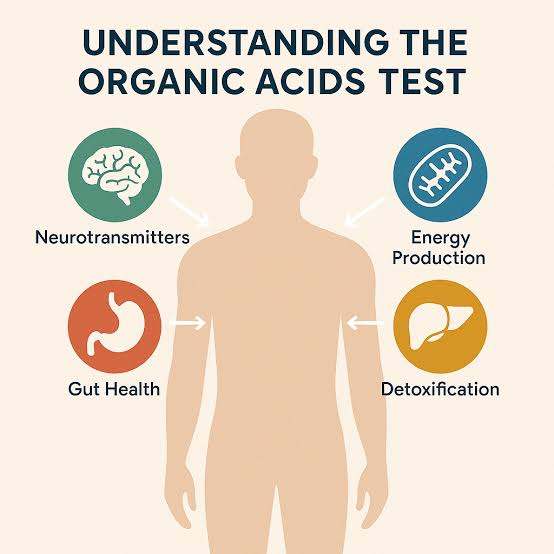 OAT TEST / Organic Acid Test, A functional test for better Wellness