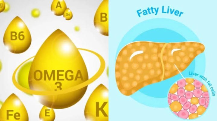 Fatty Liver & Omega 3 - Know Your OMEGA INDEX